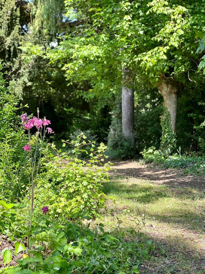 Les Jardins De L'Hermitage Cellettes  ภายนอก รูปภาพ